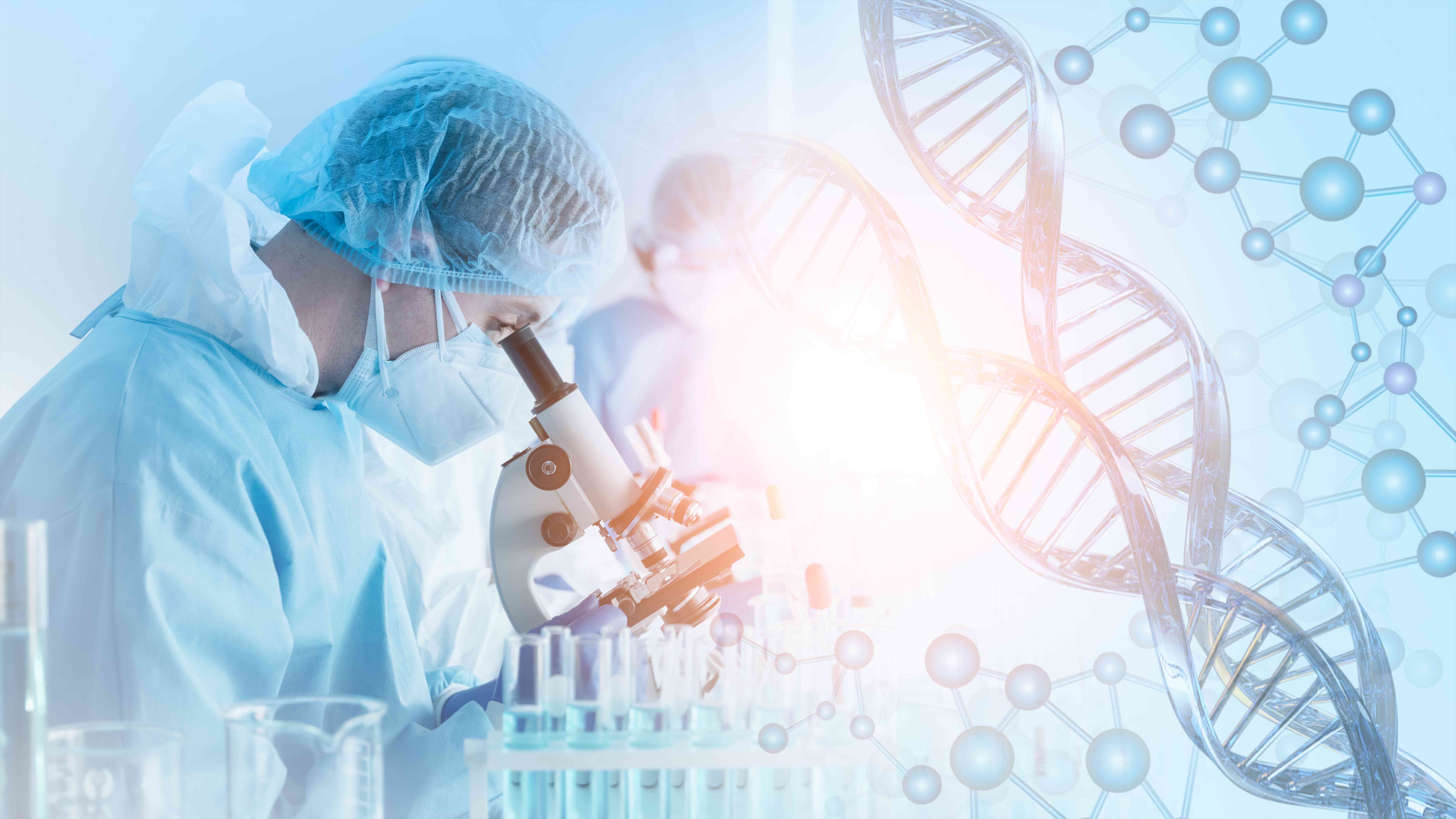 Le réveil de certains virus ancestraux serait responsable en partie du vieillissement cellulaire. © Mongkolchon, Adobe stock